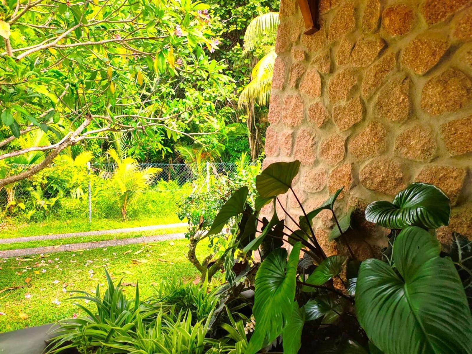 The Islander Hotel Grand Anse  Ngoại thất bức ảnh